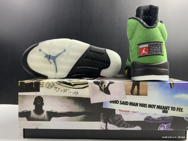 Rep Ducks CK6631-307 Oregon Jordan 5 SE Air 0731